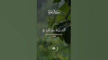 وَتَوَكَّلْ عَلَى الْعَزِيزِ الرَّحِيمِ - القارئ وديع اليمني