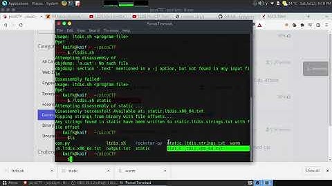 picoCTF:static aint always noise | General Skills | running a bash file
