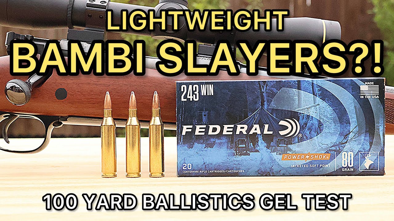 243 Winchester Federal PowerShok 80gr Ballistics Gel Ammo Test