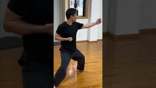 Practice routine #punch#martial arts#karate punch#training #kung fu#gogyo-ji