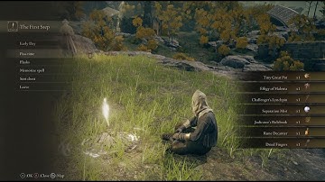 ELDEN RING Seamless Co-op + Randomizer Guide | Jan 27, 2025