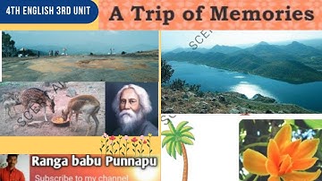 💐👌4th Class English 3rd Unit "A Trip of Memories" Detailed Explanation 💐👌