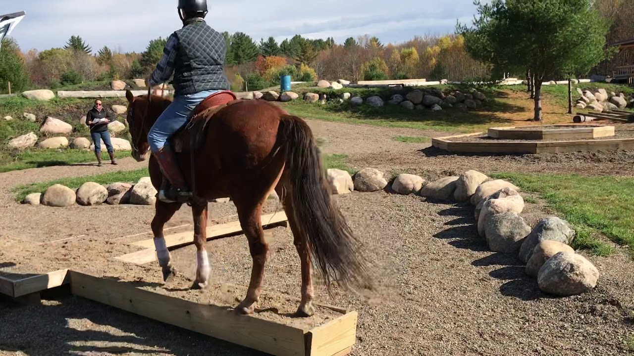 Salmon River Horse Park/Cathy Drumm mountain trail clinic YouTube