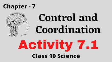 Activity 7.1 | Control and Coordination | Chapter 7 | Class 10 Science Biology 2021-22 @prkfilms