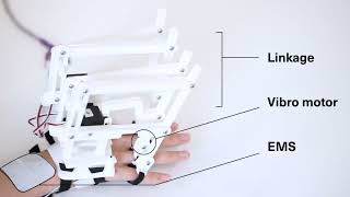 Hapticus: Exploring the Effects of Haptic Feedback and its Customization on Motor Skill Learning
