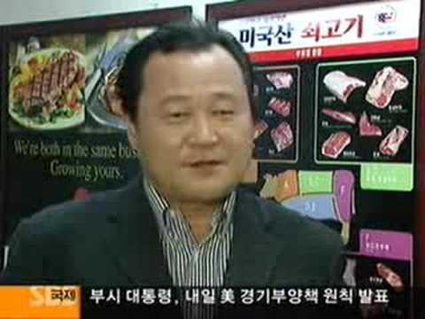 촛불집회 - 30개월 이상 소고기 노대통영 이미 결정했다