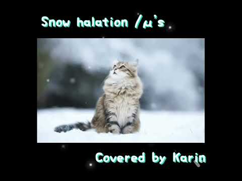 Snow halation / μ’s 【cover】