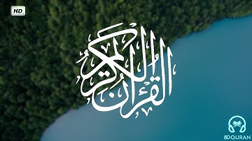 قرآن كريم بصوت ماهر المعيقلي | حالات واتس اب دينية - سورة الطلاق