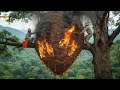 UNBELIEVABLE: Harvesting a Giant Beehive 200 Meters Above Ground