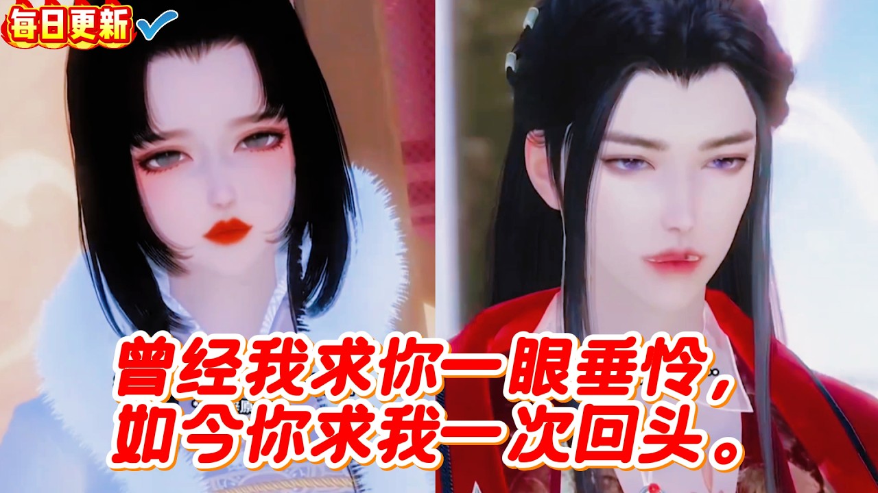 霸总追妻火葬场：求你回头！