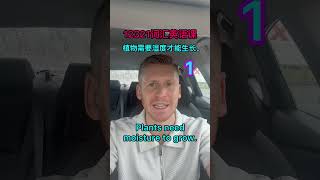 12321词汇英语课