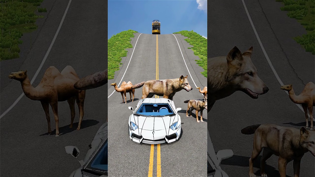 Biggest Bus vs Wolf & Dromedary Camel Models-BeamNG-Drive 