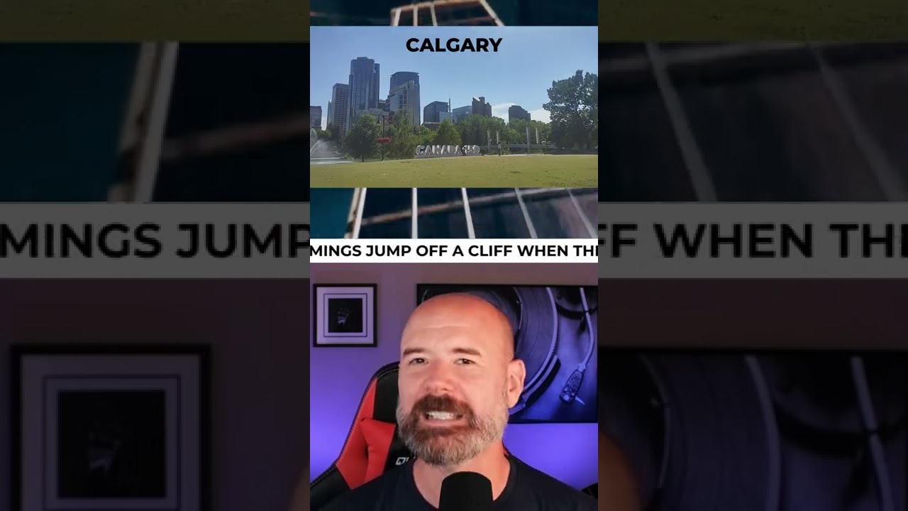 No, Lemmings Don't Commit Mass Suicide  |  The History of Rock 