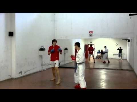 Karate - Gitaner