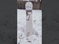 #CapitaSnowboards turned Benny Milam &amp; Austin Vizz PRO. We got the boards to prove it #snowboarding