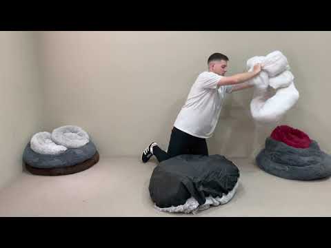 Pupplez | How To Wash Your Pet Bed