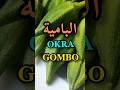 أهم الفوائد الصحية للبامية الملوخية القناوية Okra Benefits Les Bienfaits Du Gombo Shorts دايت أهم الفوائد الصحية للبامية الملوخية القناوية Okra Benefits Les Bienfaits Du Gombo Shorts دايت