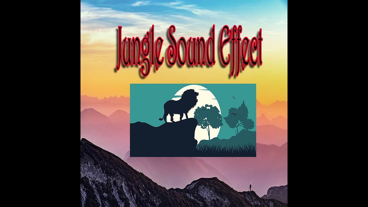 Jungle Sound effect I wild animals I Animals sound effect free download