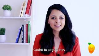 Conoce Un Se De Vida Simple Y Accesible - Mango Life