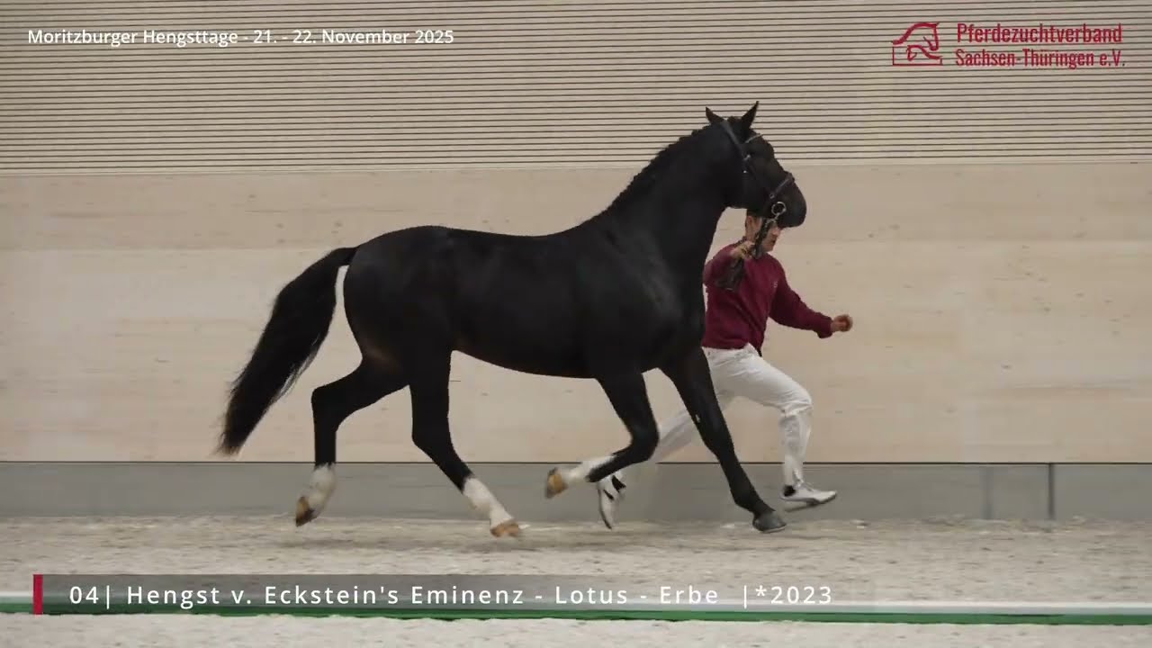 KN 4 v. Eckstein's Eminenz - Lotus