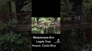 Tree house . Beautiful jungle