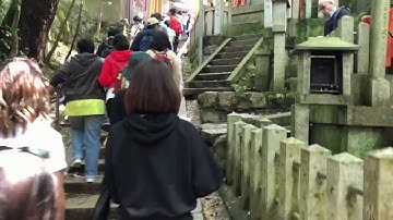 Zhiyun Smooth Q gimbal stabilized time-lapse video walking through the Torii gates at Fushimi Inari