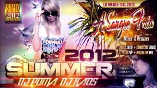 Shaggy feat. Kat Deluna - Dame Summer Remix Dj Poma ( Electro )