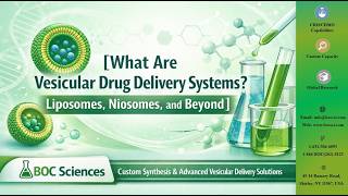 What Are Vesicular Drug Delivery Systems Liposomes, Niosomes, and Beyond - BOC Sciences