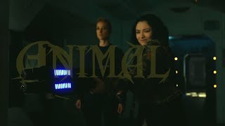 Multifandom│Animal