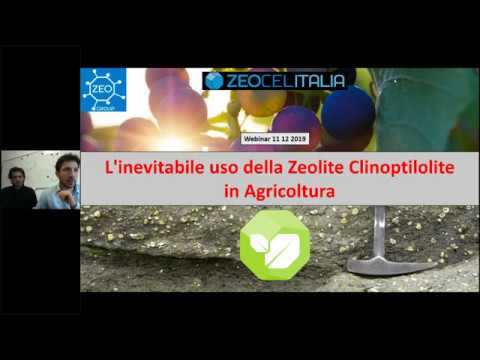 Video: Condizionamento del suolo con zeolite: utilizzo della zeolite come emendamento del suolo