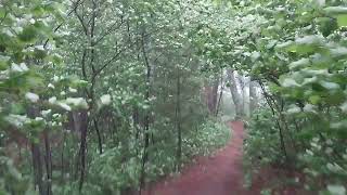 Park Point Duluth