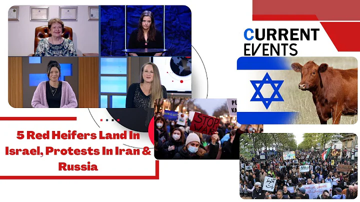 Current Events: 5 Red Heifers Land In Israel, Prot...