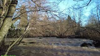 Relaxing River Sounds - Peaceful Forest River - 3 Hours Long - HD 1080p - Nature Video