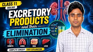 Excretory Products And Their Elimination Class 11 | NEET 2026