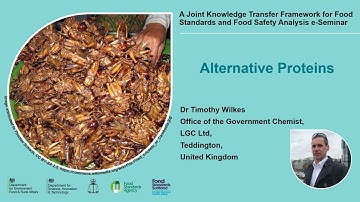 An introduction to alternative proteins