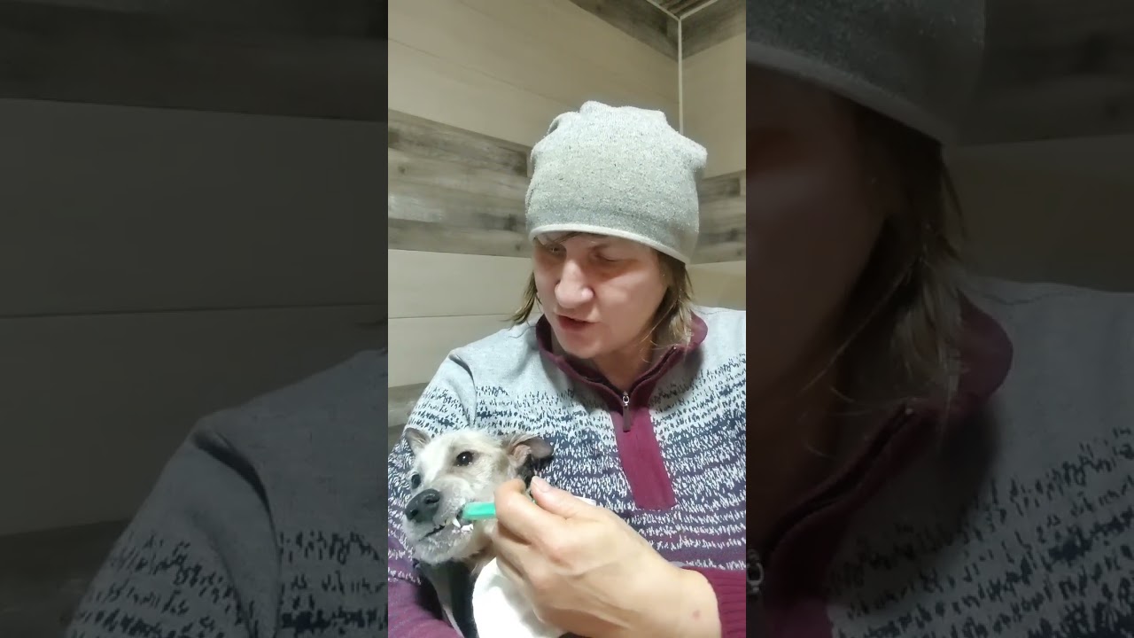 Поставила Снежка в вертикальное положение 😂 и накормила айраном 