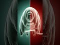 Tardigrades Conquer Space! #Tardigrades #SpaceSurvivors #WaterBears #OuterSpace #MicroMonsters #Surv