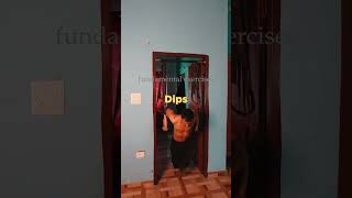 Calisthenics At Home Short Guide