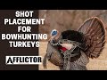Proper Shot Placement For BOWHUNTING Turkeys!