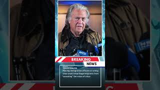 ICE airport deployment should be ‘test run’ for 2026 election – ex Trump strategist