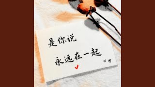 是你说永远在一起 (DJ豪大大版)