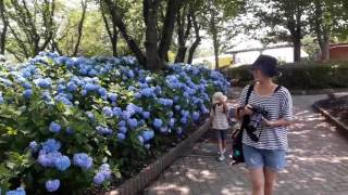 1060707八木崎公園2