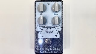 Dispatch Master by EarthQuaker! All the Reverb and Delay you need, in one Box!