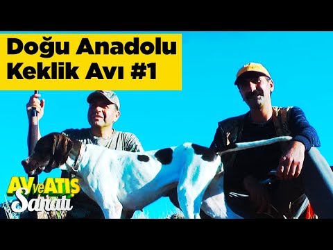 Doğu Anadolu Keklik Avı 1 Av Ve Atış Sanatı Yaban Tv