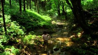 [TH-Official] Little Forest : Summer & Autumn
