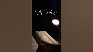 تلاوة خاشعة ومؤثرة للشيخ ماهر المعيقلي من سورة النحل 🌙✨ #تلاوة_خاشعة #beautifulquran #ماهر المعيقلي