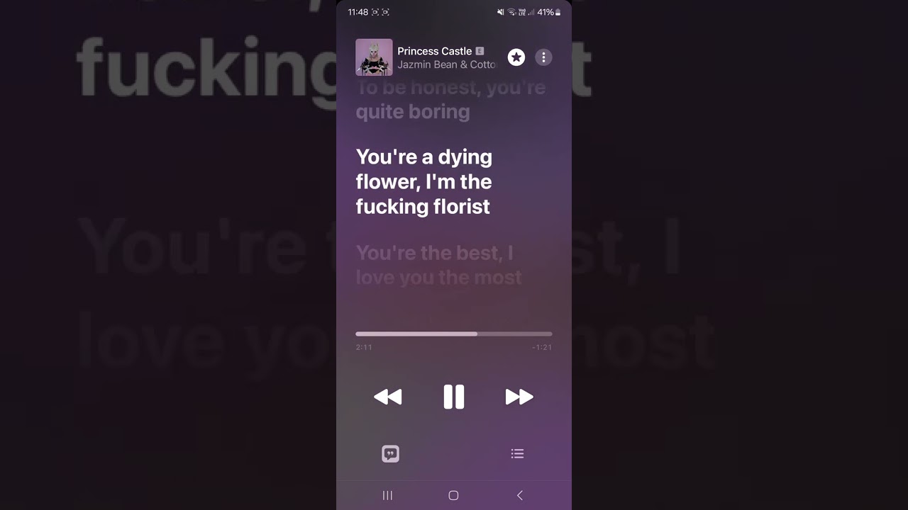 Princess castle clean- Jazmin bean 