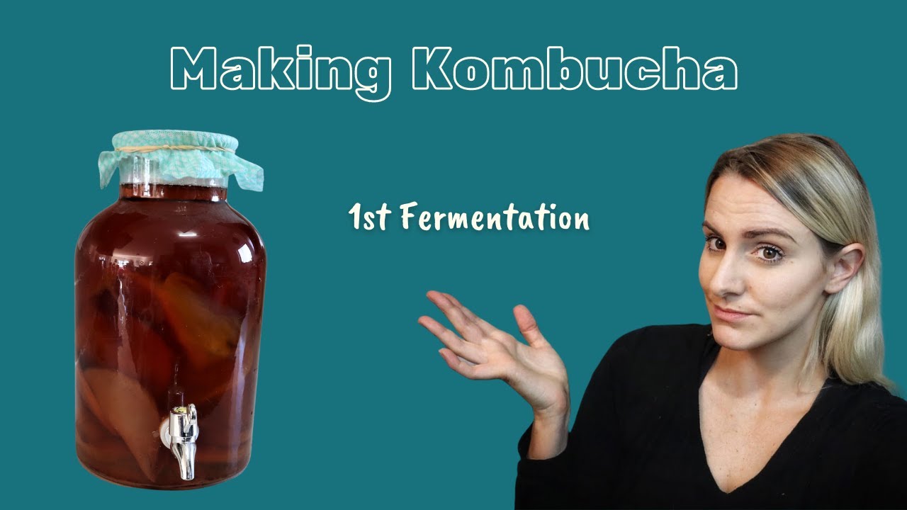 Kombucha | First Fermentation Using South African Organic Rooibos Tea -  Youtube