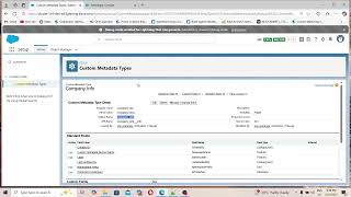 Celebrity How to Create a Custom Metadata Record in Apex | Salesforce Tutorial Wealth