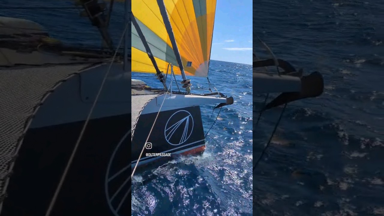 Sailboat Rally! ? #sailing #boatracing #boatlife #caribbean #rally #sailboat #joinus #havefun